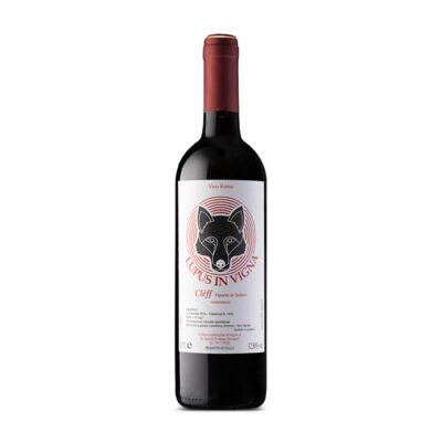 Lupus In Vigna 2017