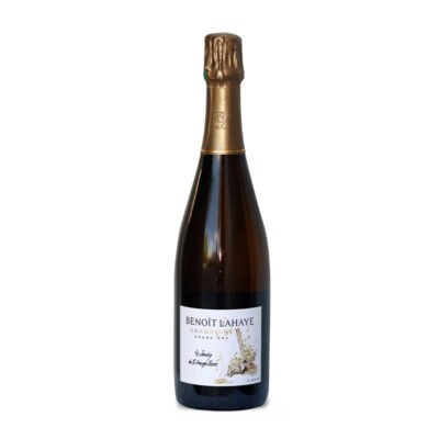 Champagne Le Jardin de la Grosse Pierre 2020